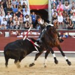 Madrid, domingo 26 de mayo de 2019