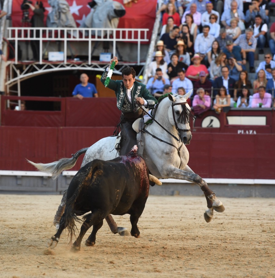 Madrid, domingo 26 de mayo de 2019