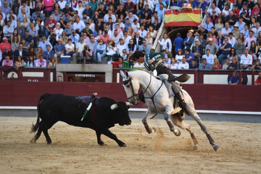 Madrid, domingo 26 de mayo de 2019