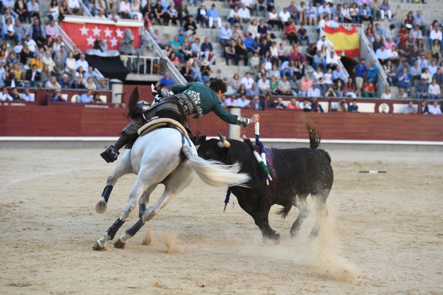 Madrid, domingo 26 de mayo de 2019