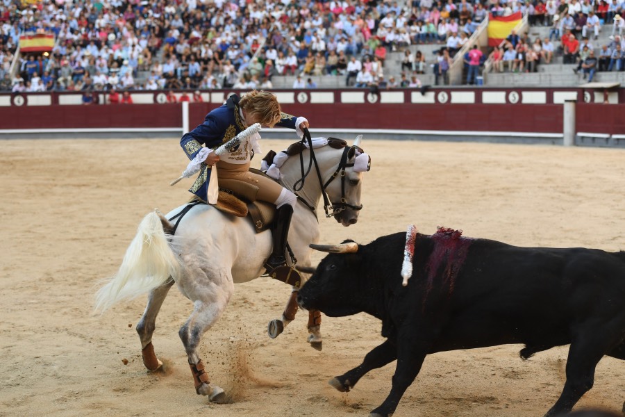 Madrid, domingo 26 de mayo de 2019