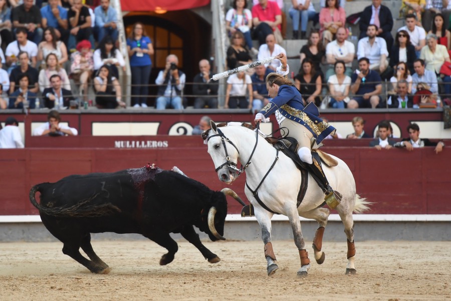Madrid, domingo 26 de mayo de 2019