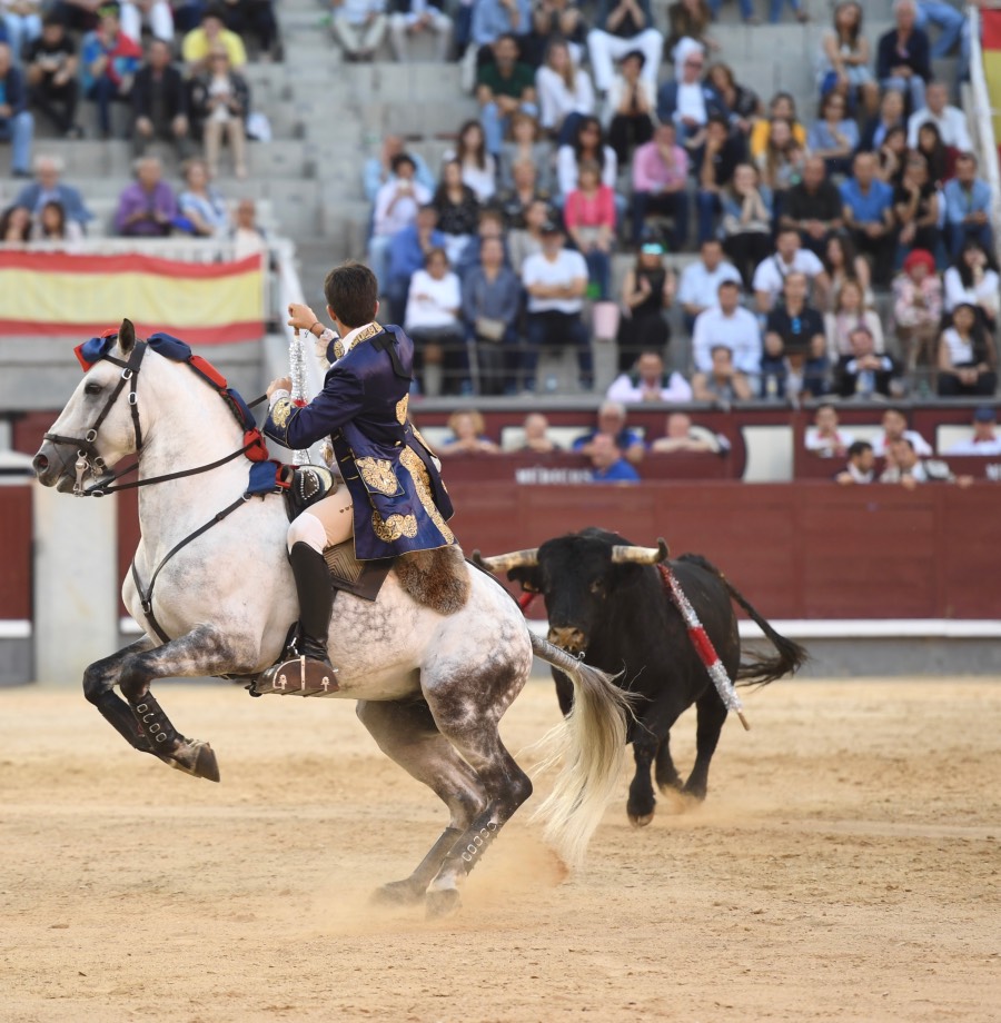 Madrid, domingo 26 de mayo de 2019