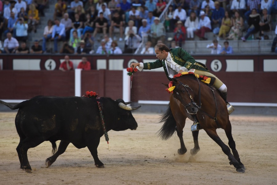 Madrid, domingo 26 de mayo de 2019
