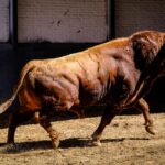 Sorteo. Madrid, sábado 25 de mayo de 2019