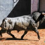 Madrid, sábado 18 de mayo de 2019