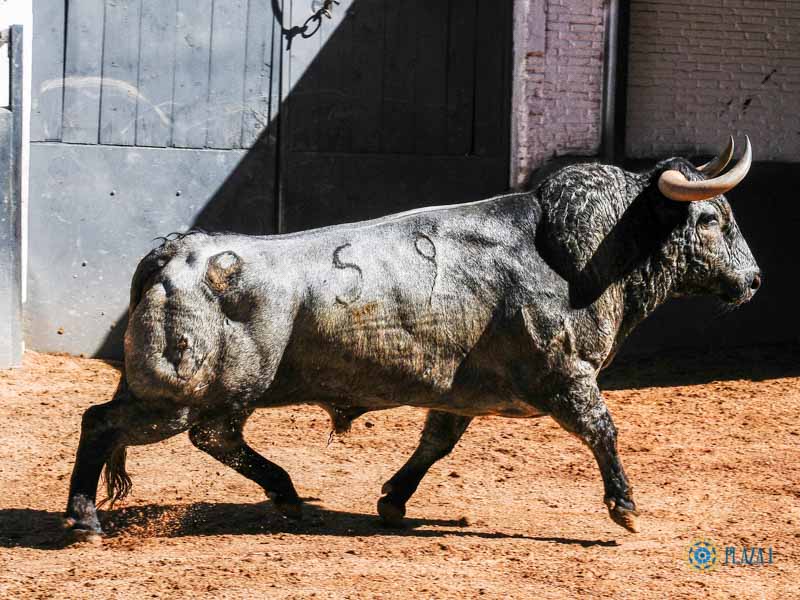 Madrid, sábado 18 de mayo de 2019