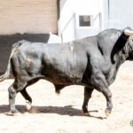 Sorteo. Madrid, 26 de mayo de 2019