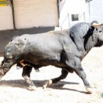 Sorteo. Madrid, 26 de mayo de 2019