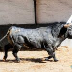 Madrid, sábado 18 de mayo de 2019