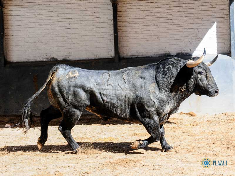 Madrid, sábado 18 de mayo de 2019