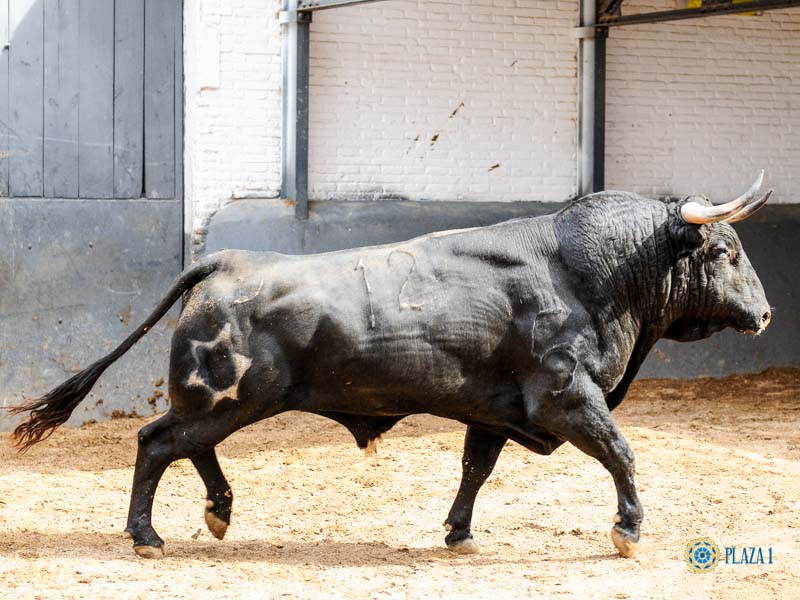 Toros de Jandilla y Vegahermosa para el 23 de mayo de 2019 en Madrid
