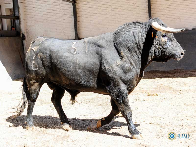 Sorteo. Madrid, 26 de mayo de 2019