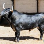 Madrid, sábado 18 de mayo de 2019