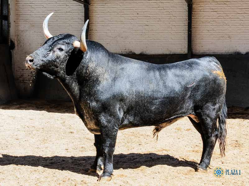 Madrid, sábado 18 de mayo de 2019