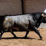 Madrid, sábado 18 de mayo de 2019