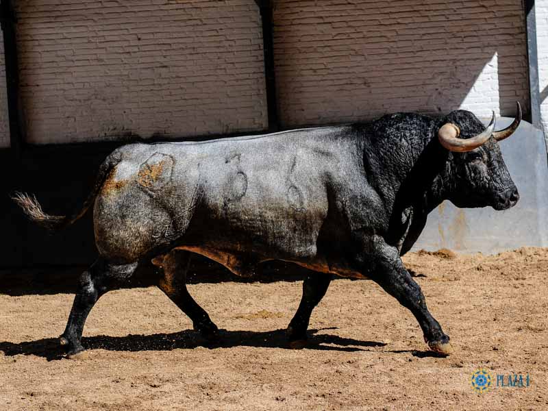 Madrid, sábado 18 de mayo de 2019