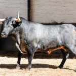 Madrid, sábado 18 de mayo de 2019