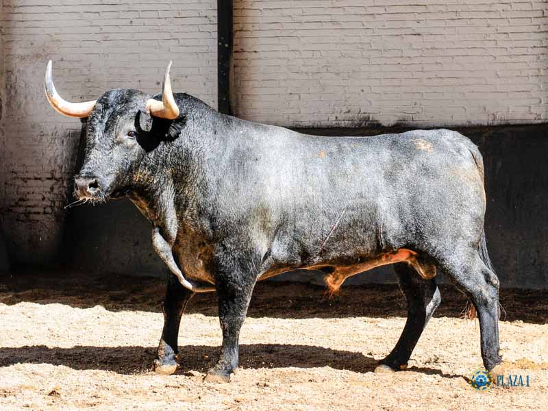 Madrid, sábado 18 de mayo de 2019