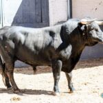 Madrid, sábado 18 de mayo de 2019