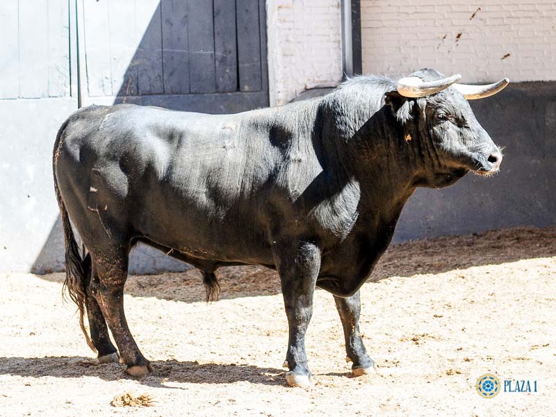 Madrid, sábado 18 de mayo de 2019