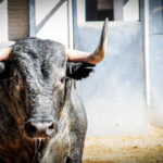 Madrid, sábado 18 de mayo de 2019