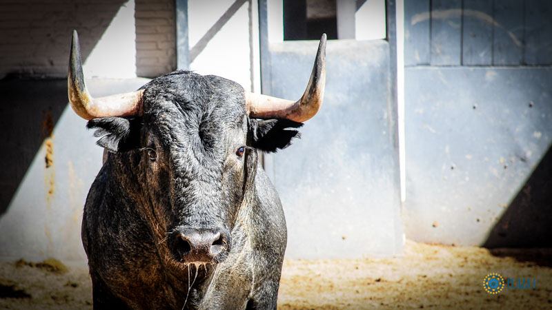 Madrid, sábado 18 de mayo de 2019