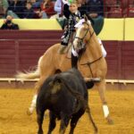 Campo Pequeno, sábado 18 de mayo de 2019
