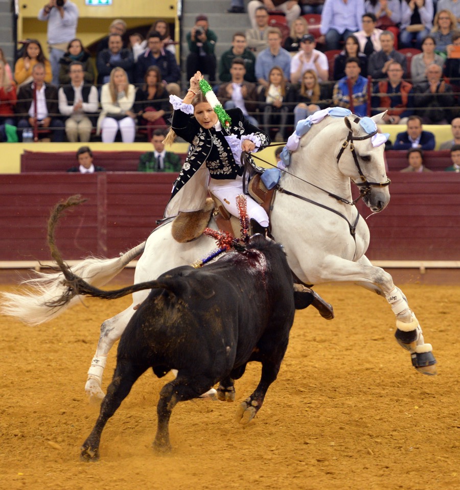 Campo Pequeno, sábado 18 de mayo de 2019