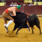 Campo Pequeno, sábado 18 de mayo de 2019