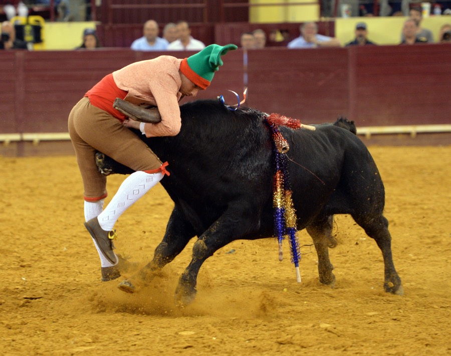 Campo Pequeno, sábado 18 de mayo de 2019