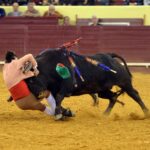 Campo Pequeno, sábado 18 de mayo de 2019