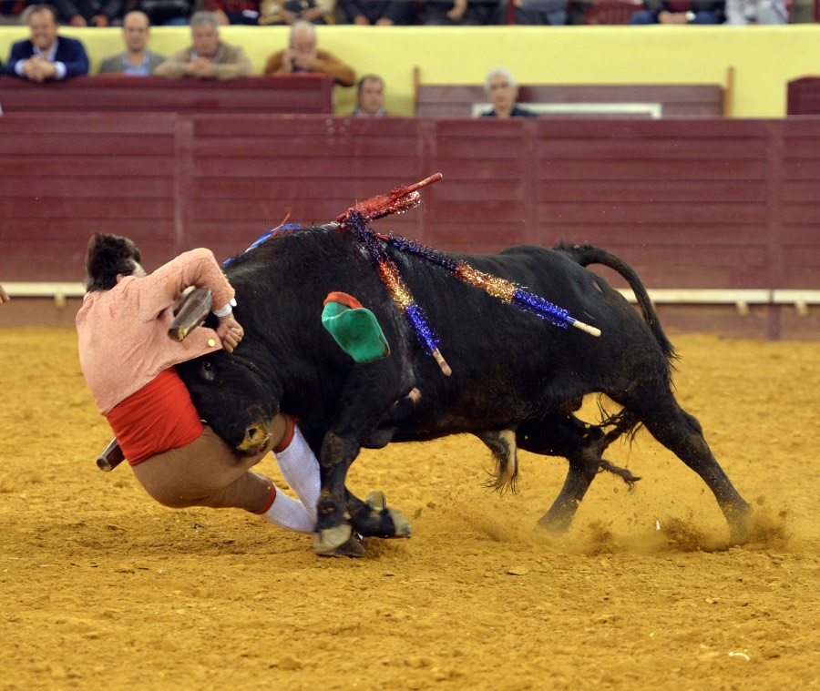 Campo Pequeno, sábado 18 de mayo de 2019