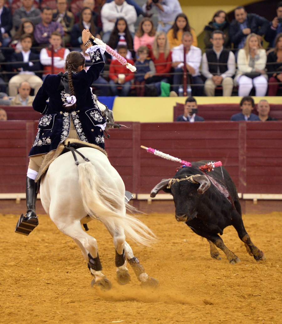 Campo Pequeno, sábado 18 de mayo de 2019