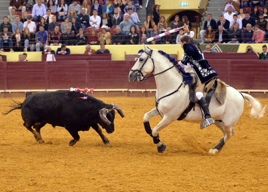 Campo Pequeno, sábado 18 de mayo de 2019
