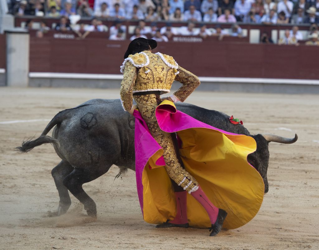 Campo Pequeno, sábado 18 de mayo de 2019
