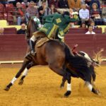 Campo Pequeno, sábado 18 de mayo de 2019