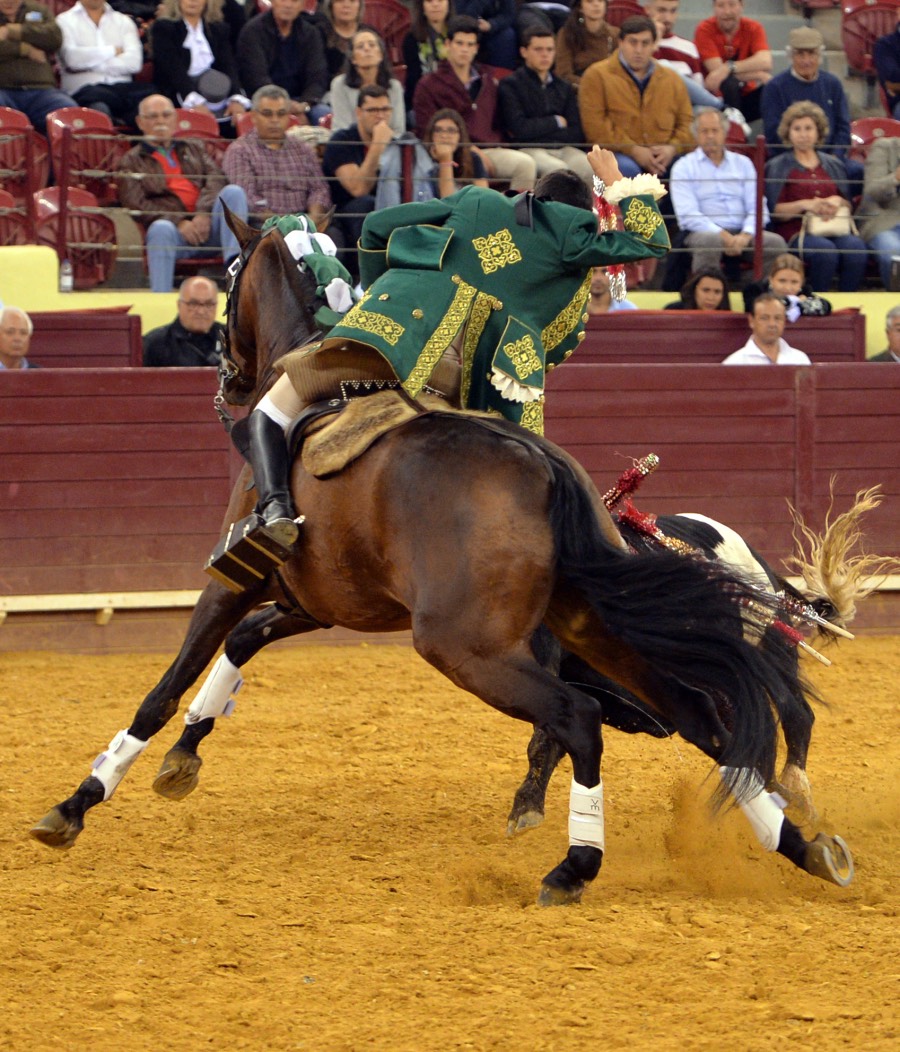 Campo Pequeno, sábado 18 de mayo de 2019