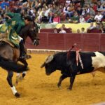 Campo Pequeno, sábado 18 de mayo de 2019