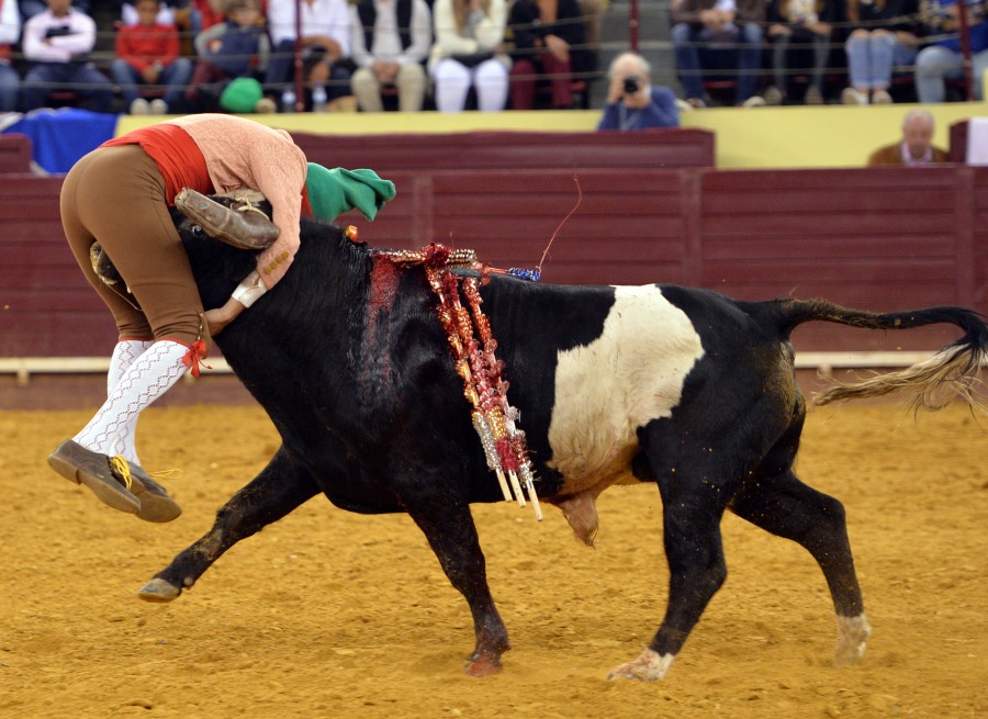 Campo Pequeno, sábado 18 de mayo de 2019