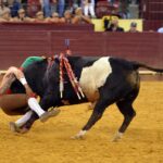 Campo Pequeno, sábado 18 de mayo de 2019
