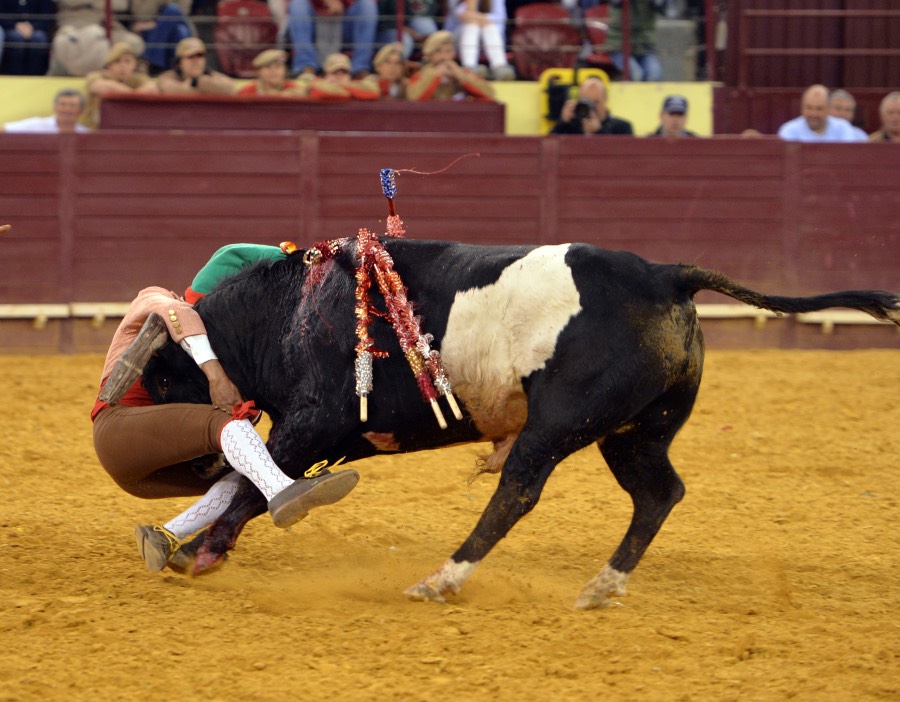 Campo Pequeno, sábado 18 de mayo de 2019