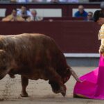 Madrid, sábado 25 de mayo de 2019