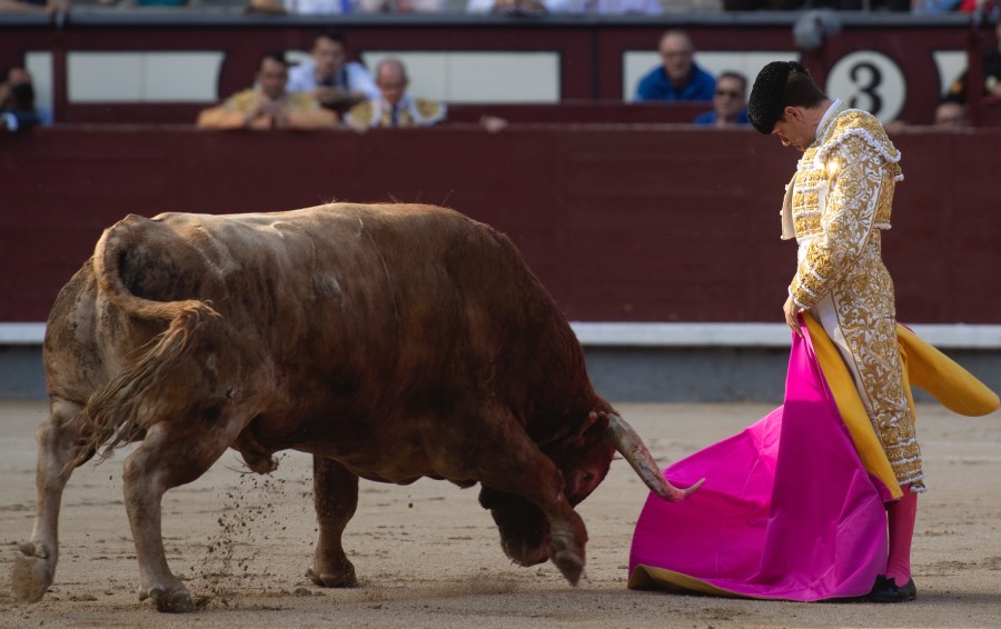 Madrid, sábado 25 de mayo de 2019
