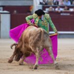 Madrid, sábado 25 de mayo de 2019