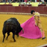 Campo Pequeno, sábado 18 de mayo de 2019