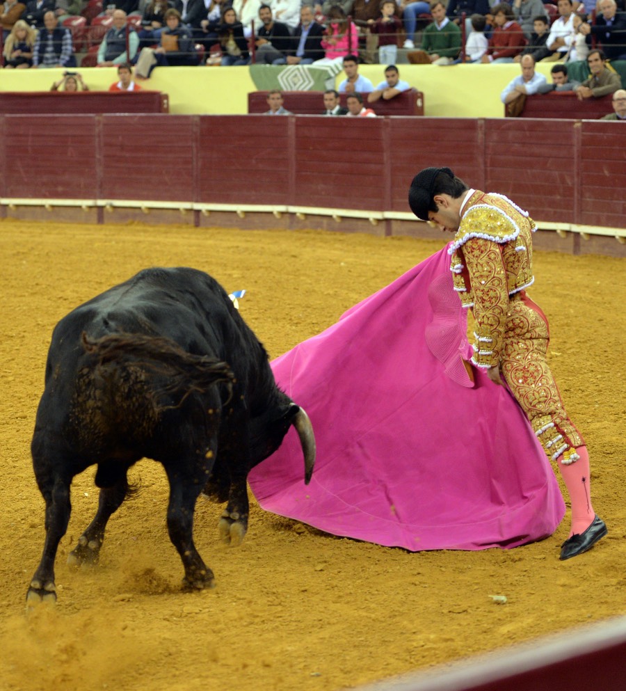 Campo Pequeno, sábado 18 de mayo de 2019