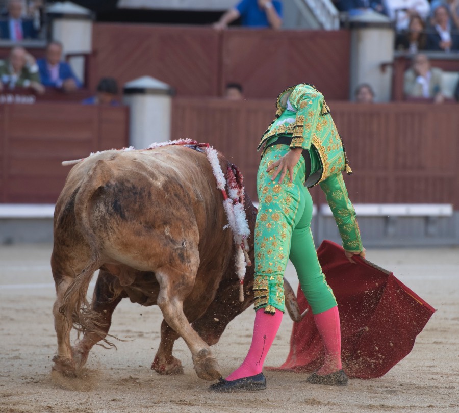 Madrid, sábado 25 de mayo de 2019