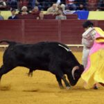 Campo Pequeno, sábado 18 de mayo de 2019