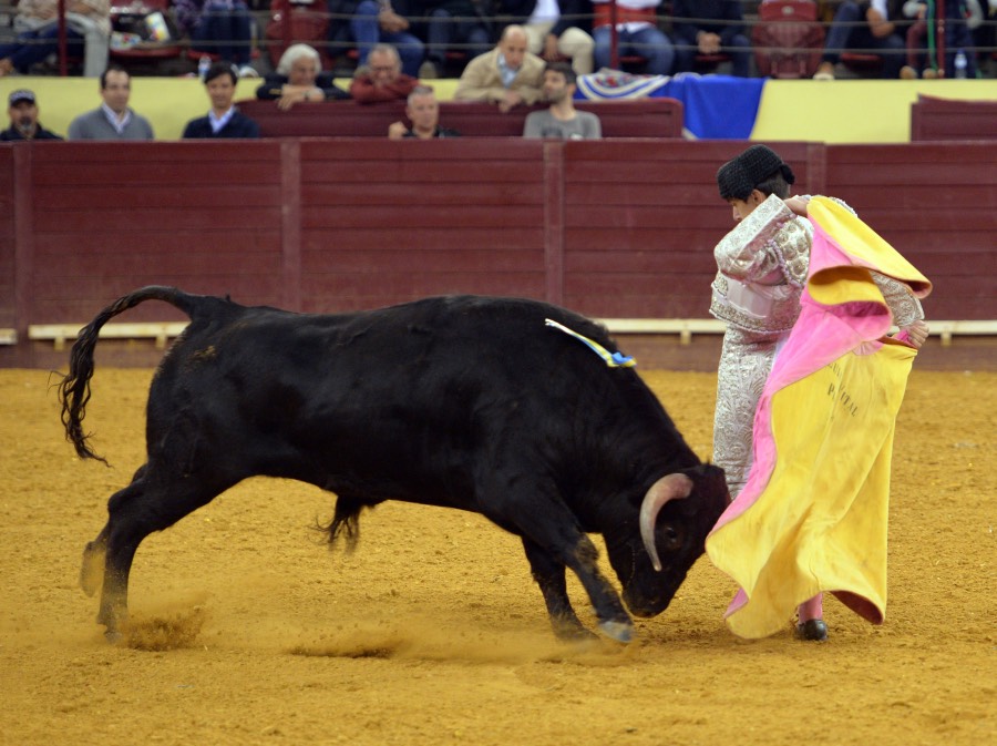 Campo Pequeno, sábado 18 de mayo de 2019